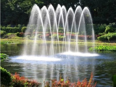 喷泉景观水池造景抛弧线喷泉水泵灯