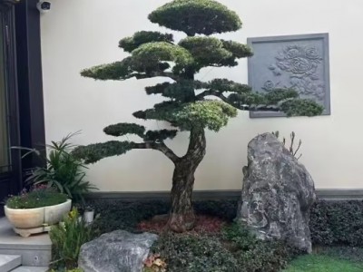 天然黑山石园林景观石假山制作点缀